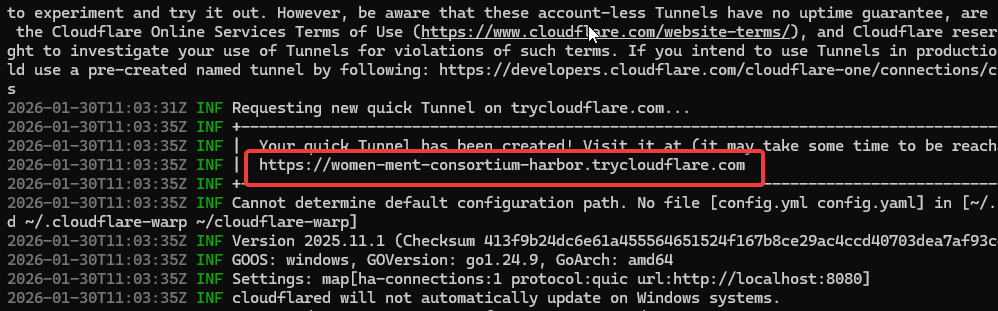 Cloudflare Tunnel URL Example